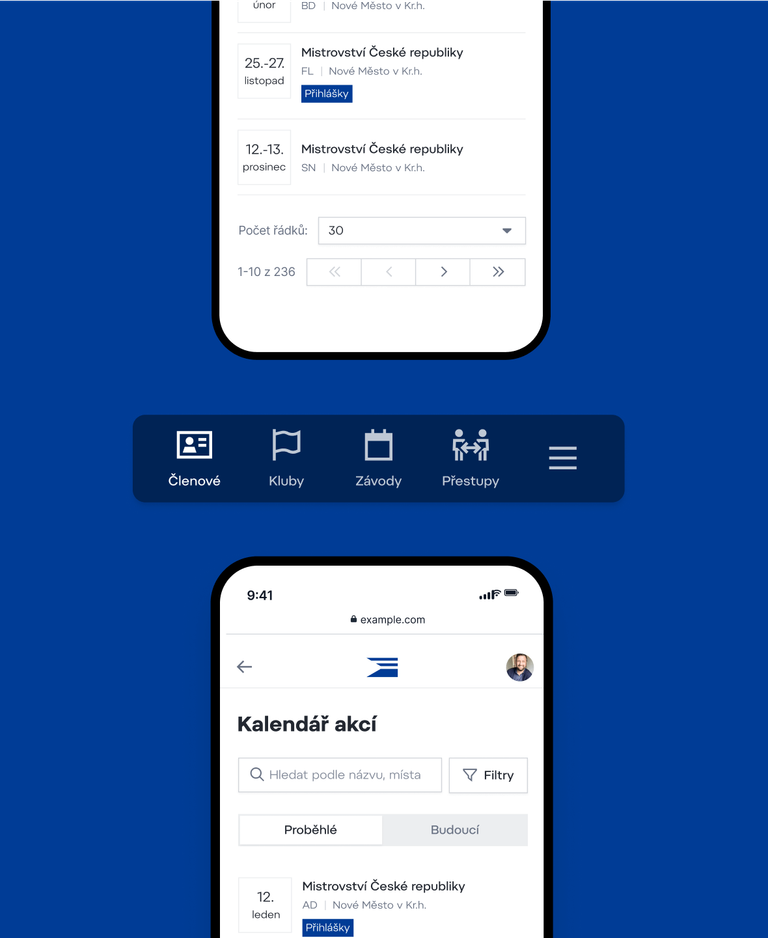 Management system race list shown on mobile phone