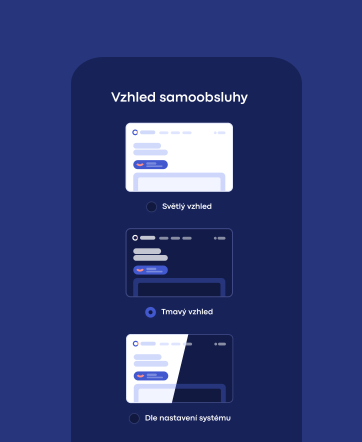 Application theme selection