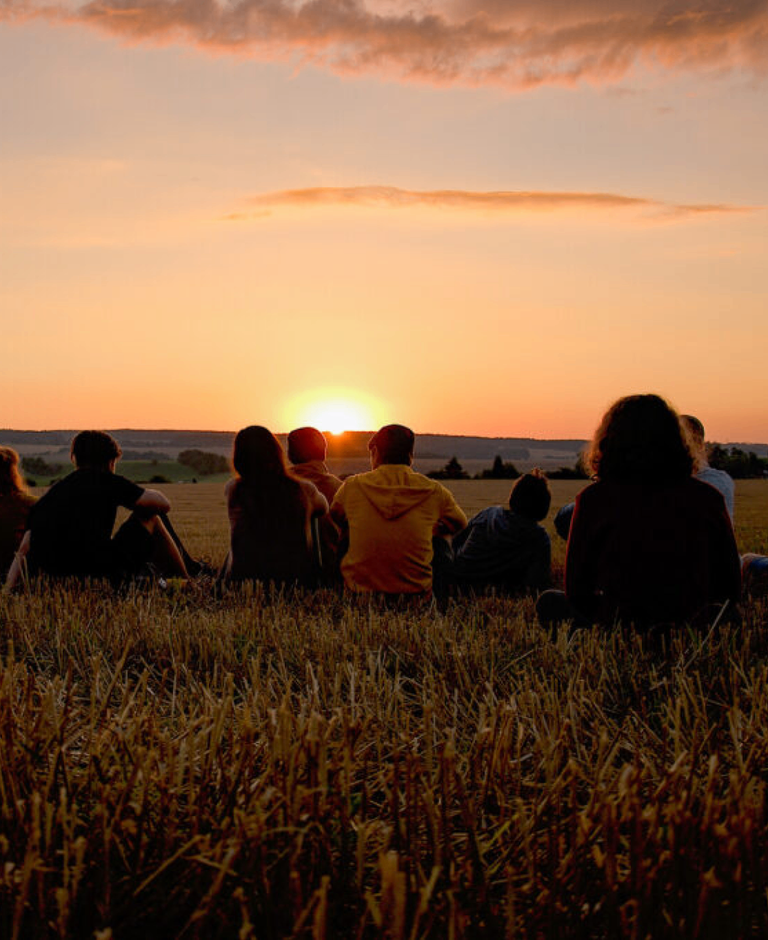 Groups of people sitting with their backs on meadow at sunset
